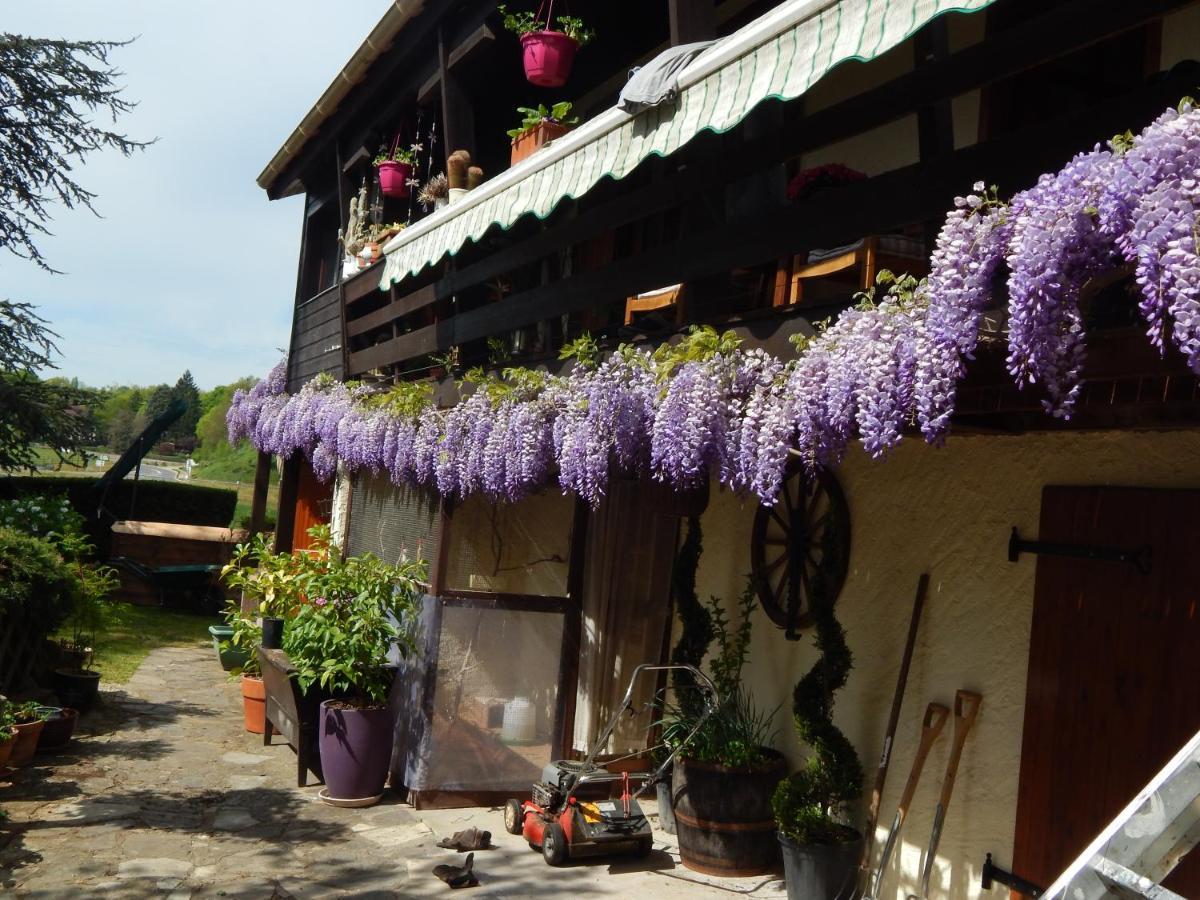 The Petite Chalet Chambre D'Hotes L'Isle-Jourdain  エクステリア 写真