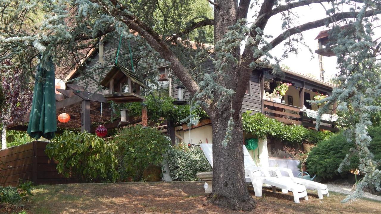 The Petite Chalet Chambre D'Hotes L'Isle-Jourdain  エクステリア 写真